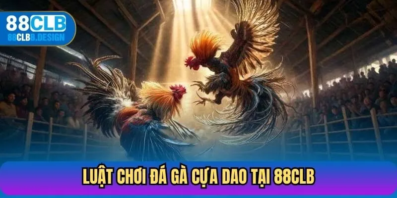 Luật chơi đá gà cựa dao tại nền tảng 88CLB