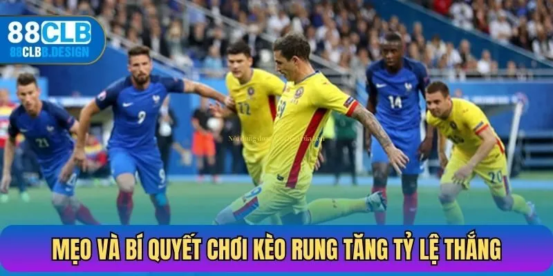 Mẹo và bí quyết chơi kèo rung tăng tỷ lệ thắng