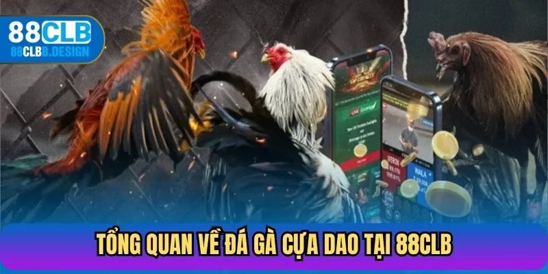 Tổng quan về đá gà cựa dao tại 88CLB